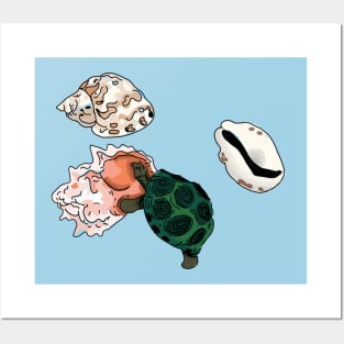 House-hunting tortoise Posters and Art